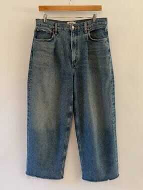 Agolde Dagna High Rise Pleated Baggy Denim